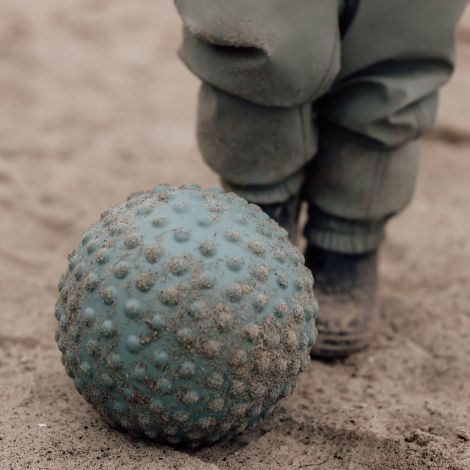 Find that hippo Großer sensorischer Ball Weldon Blue 