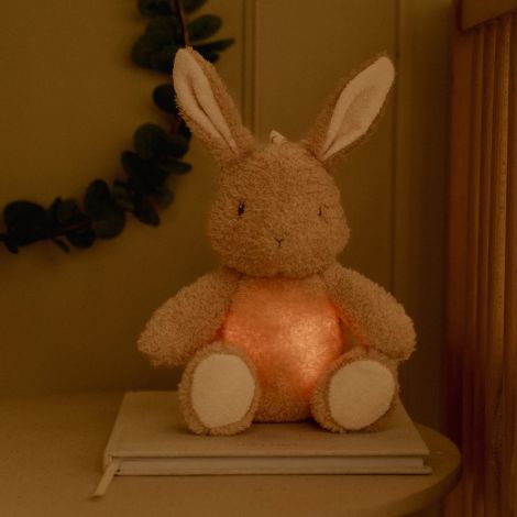 Little Dutch Kuschel-Hase Licht & Sound 