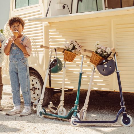 Banwood Roller Maxi Scooter Pink 