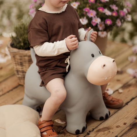 Find that hippo Hüpftier Holger the Hippo 