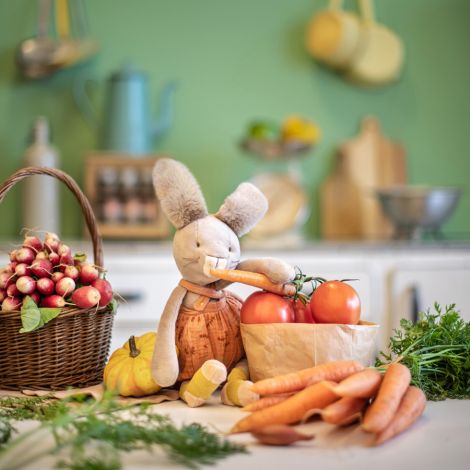 Moulin Roty Plüschtier Trois Lapins Kaninchen rot 