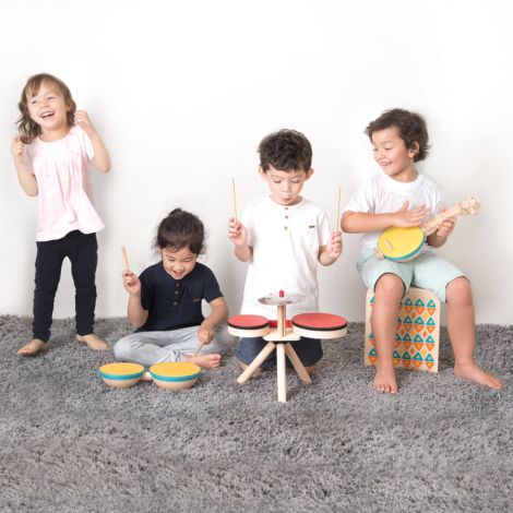 banjo plan toys